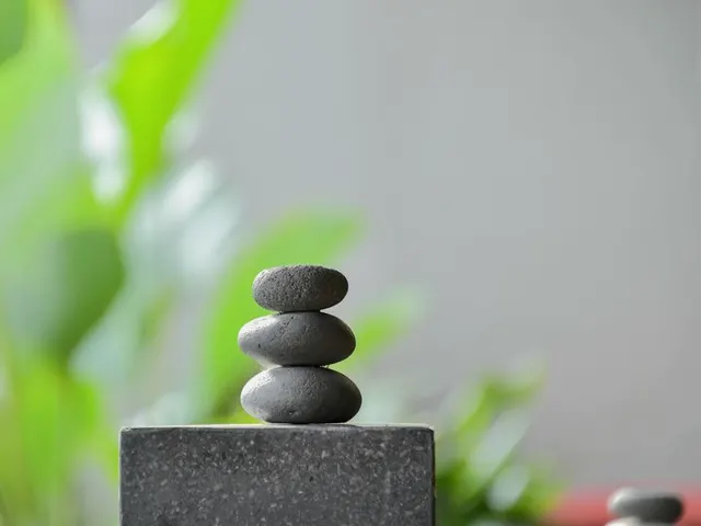 서울 송파구 가락동 마사지 허니테라피 마사지 업소 이미지