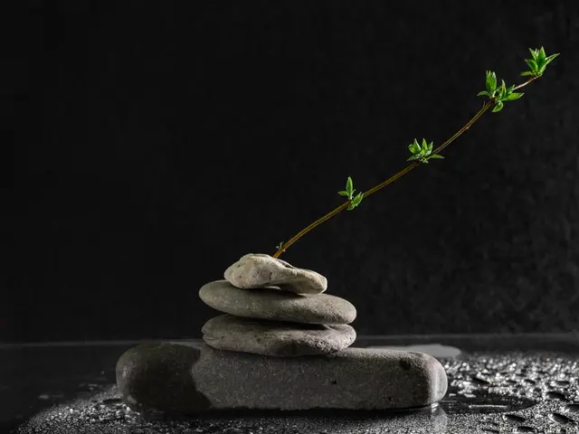 전북 군산시 마사지 분위기 참고 이미지